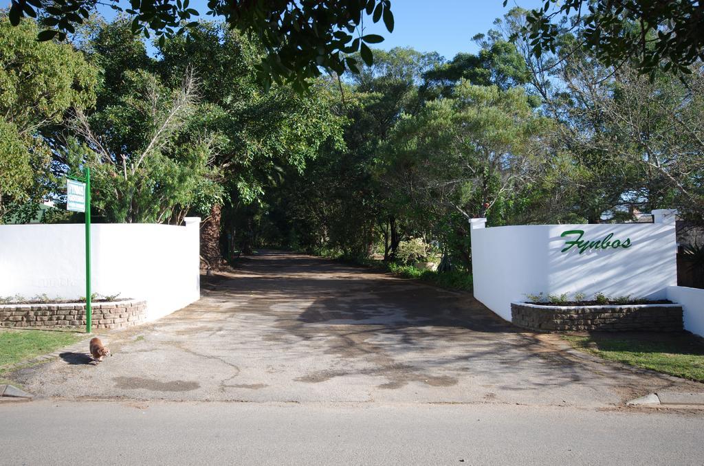 Fynbos Guest House Riversdale Ngoại thất bức ảnh