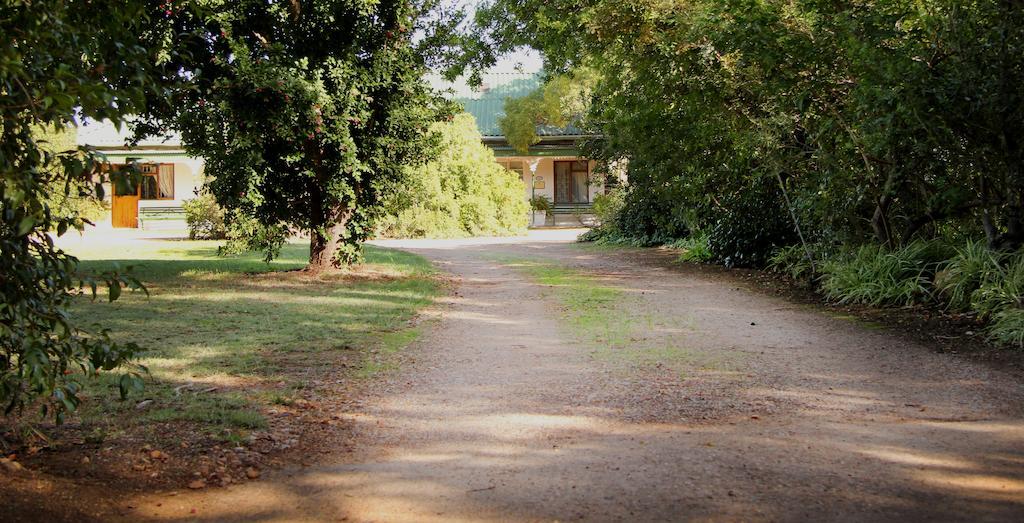 Fynbos Guest House Riversdale Ngoại thất bức ảnh